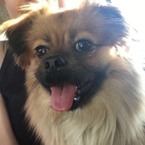 Meet your Posher, Olivia